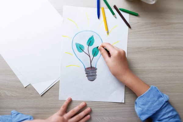 Quelles sont les meilleures pratiques pour la conservation de l'eau dans votre jardin ?